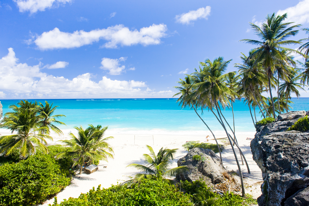Barbados Strand, Palmen und Meer, Tripodo.de