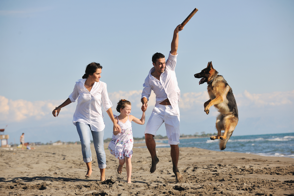 urlaub mit dem hund tripodo.de familie strand urlaub spaß