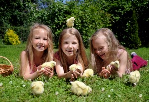 kinder mit küken urlaub auf dem bauernhof glücklich tripodo natur