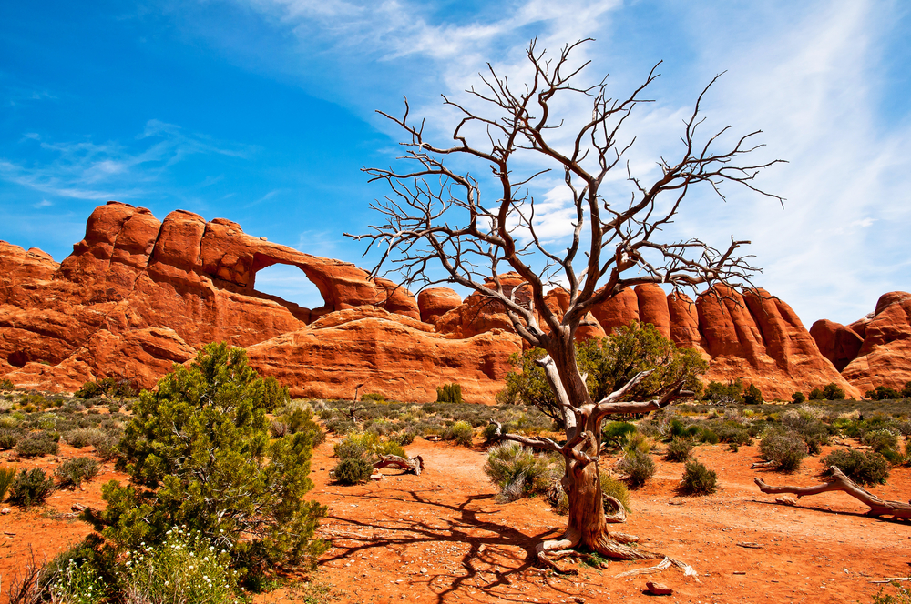 Western USA Desert Rundreisen durch die USA