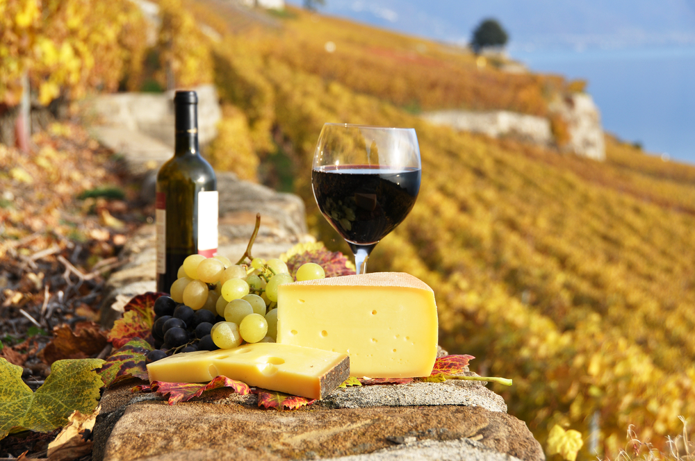 Landschaft, Wein und Käse