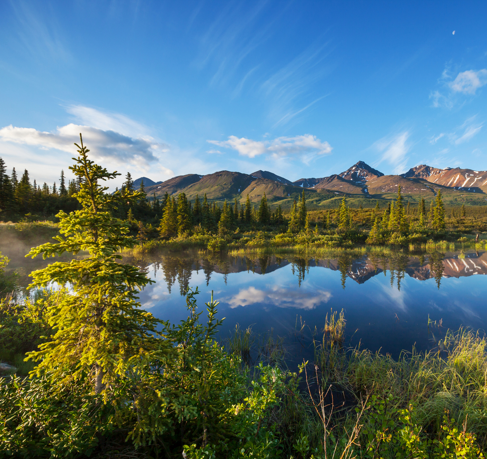 denali national parkshutterstock_122004937 (1)