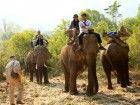 Elefanten Trekking Sanklhaburi