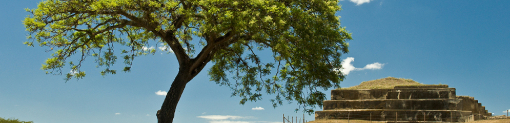 Header