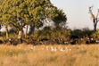 Botswana