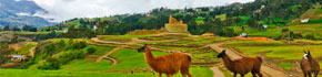 Ecuador