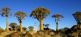Namibias endlose Weiten mit dem Flugtaxi World geographic 5