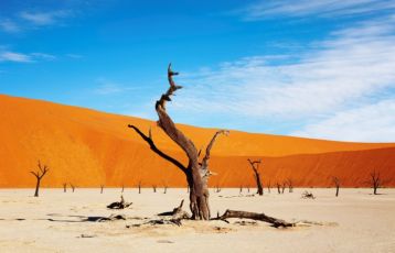 Windhoek Safari Reisen 9 Tage ab 4.990 €