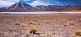 Chile - Vulkanwandern zu den schönsten Feuerbergen World geographic 2