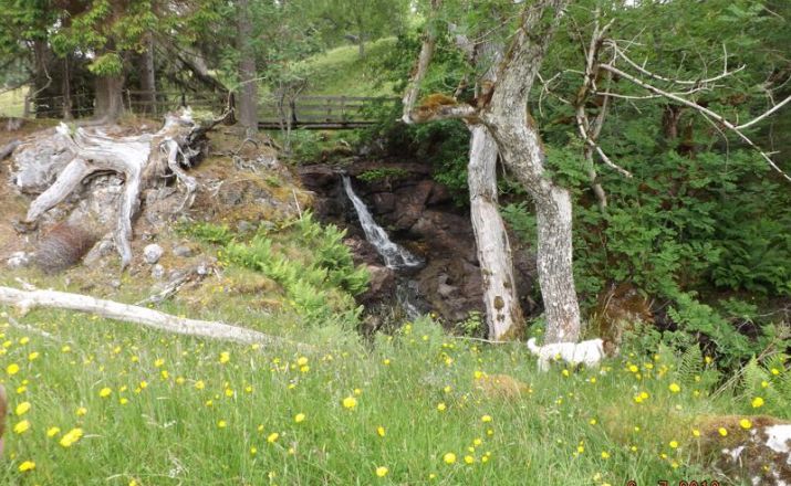 Individueller Schottland Urlaub mit Chauffeur Torgoil Tours 1