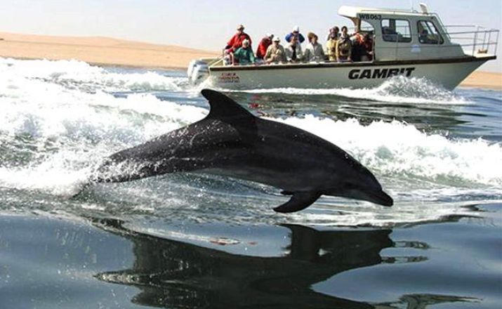 Große Rundreise durch Namibia Südafrika Deluxe 1