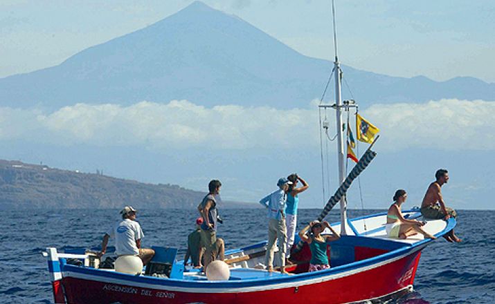 Ozeanische Wochen Klassik - Wale & Delfine vor La Gomeras Küsten OCEANO MEERZEIT Reisen 1