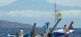 Ozeanische Wochen Klassik - Wale & Delfine vor La Gomeras Küsten OCEANO MEERZEIT Reisen 2