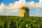 Médoc