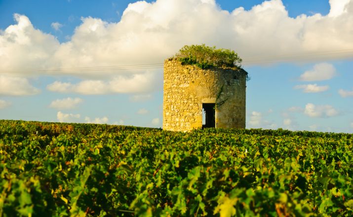 Médoc