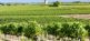 Bordeaux - die Wiege des Weines und Weltkulturerb Bärbel Kurtzahn Reisen 6