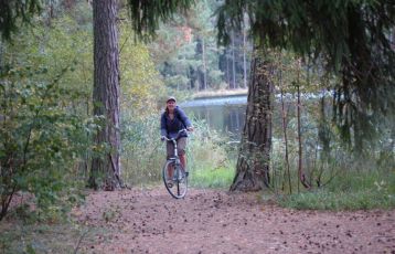 durch schattige Wälder