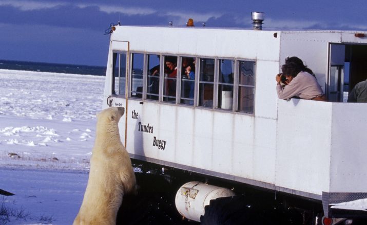 Abenteuerreise nach Churchill, Manitoba Fasten Your Seatbelts 1