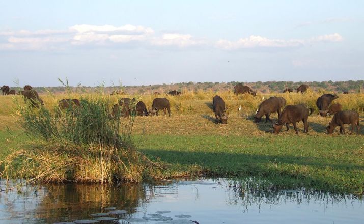 Victoriafälle - Caprivi - Okavango Takamise Tours & Safaris 1