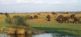 Victoriafälle - Caprivi - Okavango Takamise Tours & Safaris 2