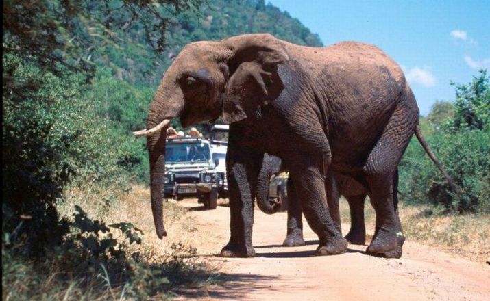 Kultur- und Safaritour durch Nord-Tansania Chui Tours 1