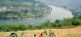 Rhein-Radweg Velociped Fahrradreisen 2