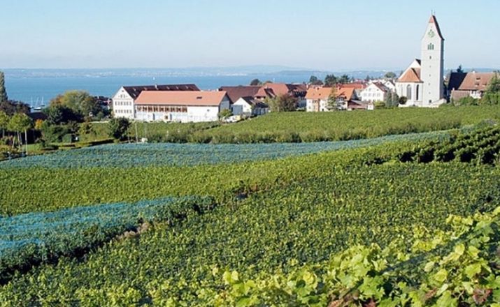 Bodensee Radweg: Die Radrundreise ab Konstanz Velociped Fahrradreisen 1