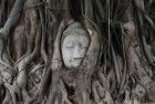Ayutthaya & Khao Yai Nationalpark