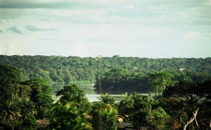 Im Regenwald Zentralafrikas und der Savanne Kameruns Africon Tours 1