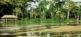 Im Regenwald Zentralafrikas und der Savanne Kameruns Africon Tours 3