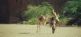 Expeditionsreise in das Ennedi Africon Tours 3