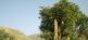 Begegnungen zwischen Savanne, Bergregionen, Urwald und Meer Africon Tours 3