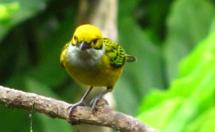 Ecuador: Naturparadies am Äquator Solecu Tours 1