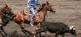 Oregon Trail Dreams - Oregon Erlebnisreise Travel Dream West Tours 2