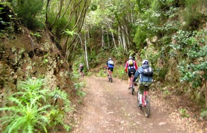 Tour durch den Regenwald der Insel