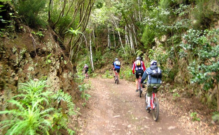 Tour durch den Regenwald der Insel