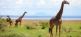 Höhepunkte Tansanias - 6 Tage Budget Camping Africa Safari Experts 3