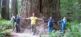 Pacific Northwest Explorer - USA Pazifik Urlaub Travel Dream West Tours 4