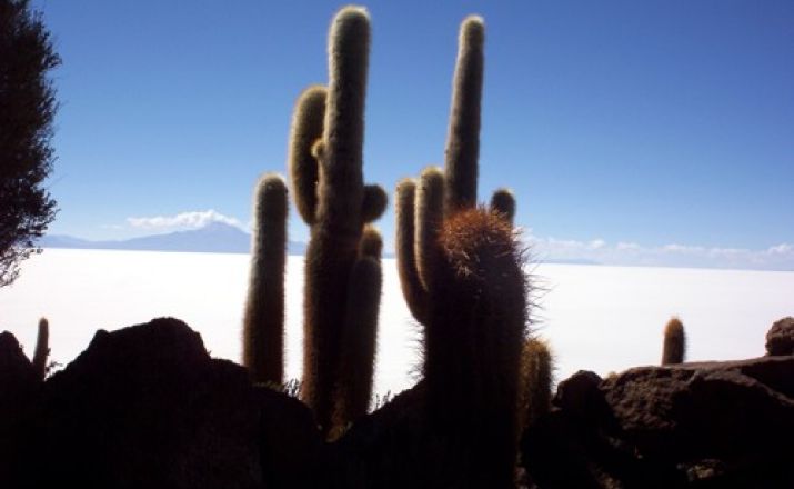 Vulkane in Südbolivien Thomas Wilken Tours 1