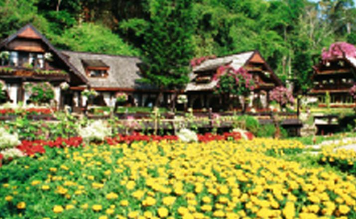 Rose des Nordens Lotus Travel Service 1