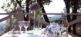 Mcely Ecotours 10