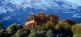 Kasbah Ecotours 2