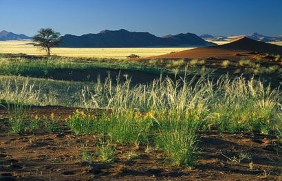 Günstige Namibia Reise -
