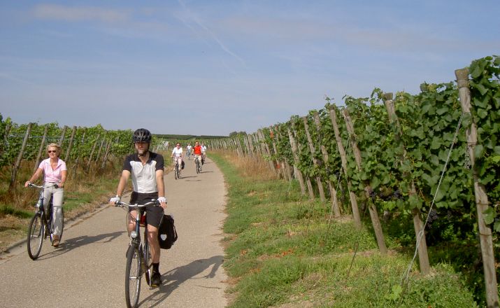 Geführte Elsass Baden Radreise WEINRADEL - Reisen per Rad 1