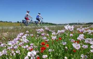La Rioja Radreisen 8 Tage ab 1.590 €