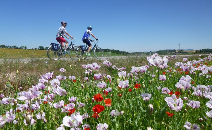 Geführte Rioja-Radreise WEINRADEL - Reisen per Rad 1