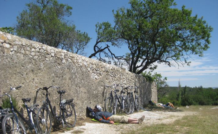 Geführte Provence-Radreise WEINRADEL - Reisen per Rad 1