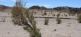 Grosse Gobiexpedition Steppenfuchs Reisen 17