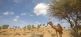 Banyan Tree Al Wadi Asien Reiseprofi 4
