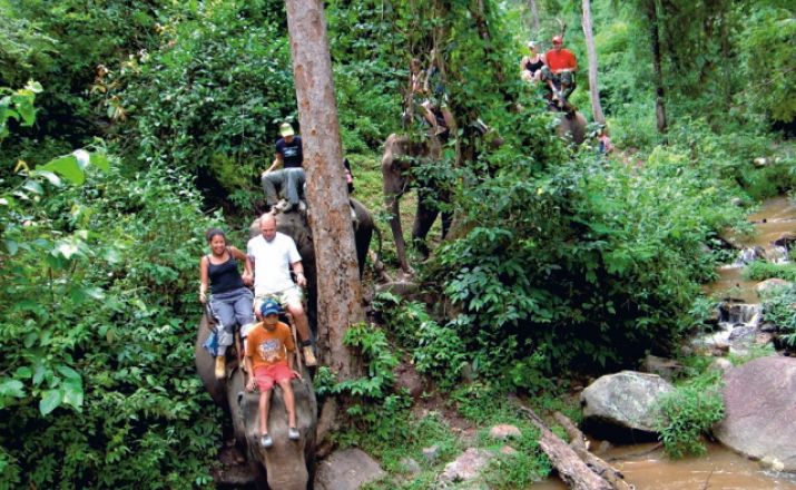 Thailand hautnah Karawane Reisen 1